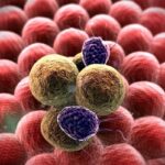 animación de células Neoplasias